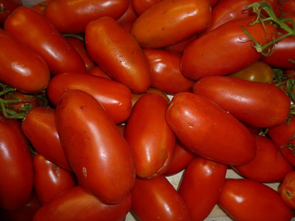 Tomaten San Marzano - 10 kg