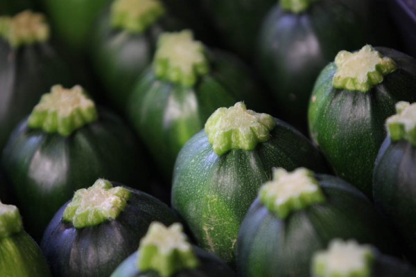 zucchini__rund56680d2ab97da