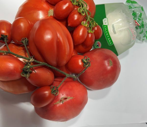 Tomaten gemischt - 5 kg + 1 Mozzarella