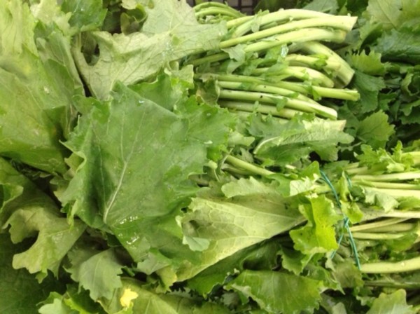 Cime di Rapa