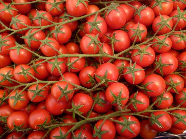 Tomaten - Kirschtomaten rot