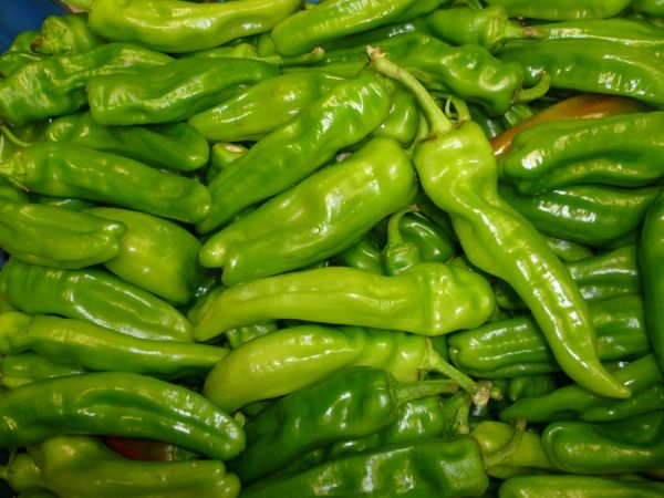 Piementos