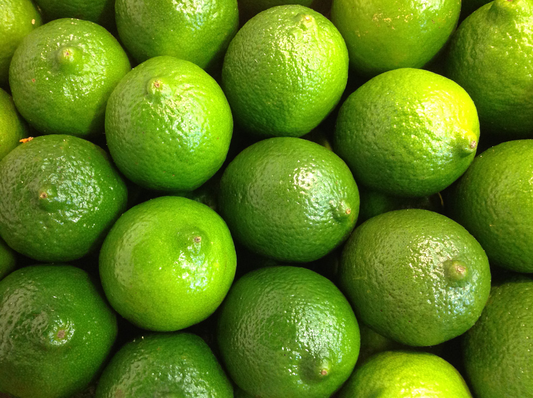 Limetten Sandner Früchte Online