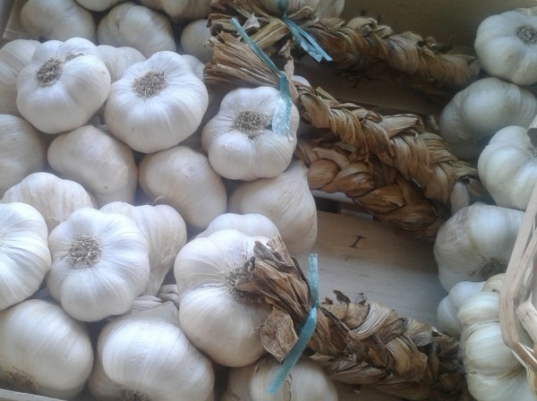 Knoblauch-Zopf 1 kg NEUE ERNTE
