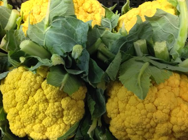 Blumenkohl gelb