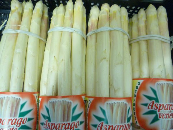 Spargel, weiß