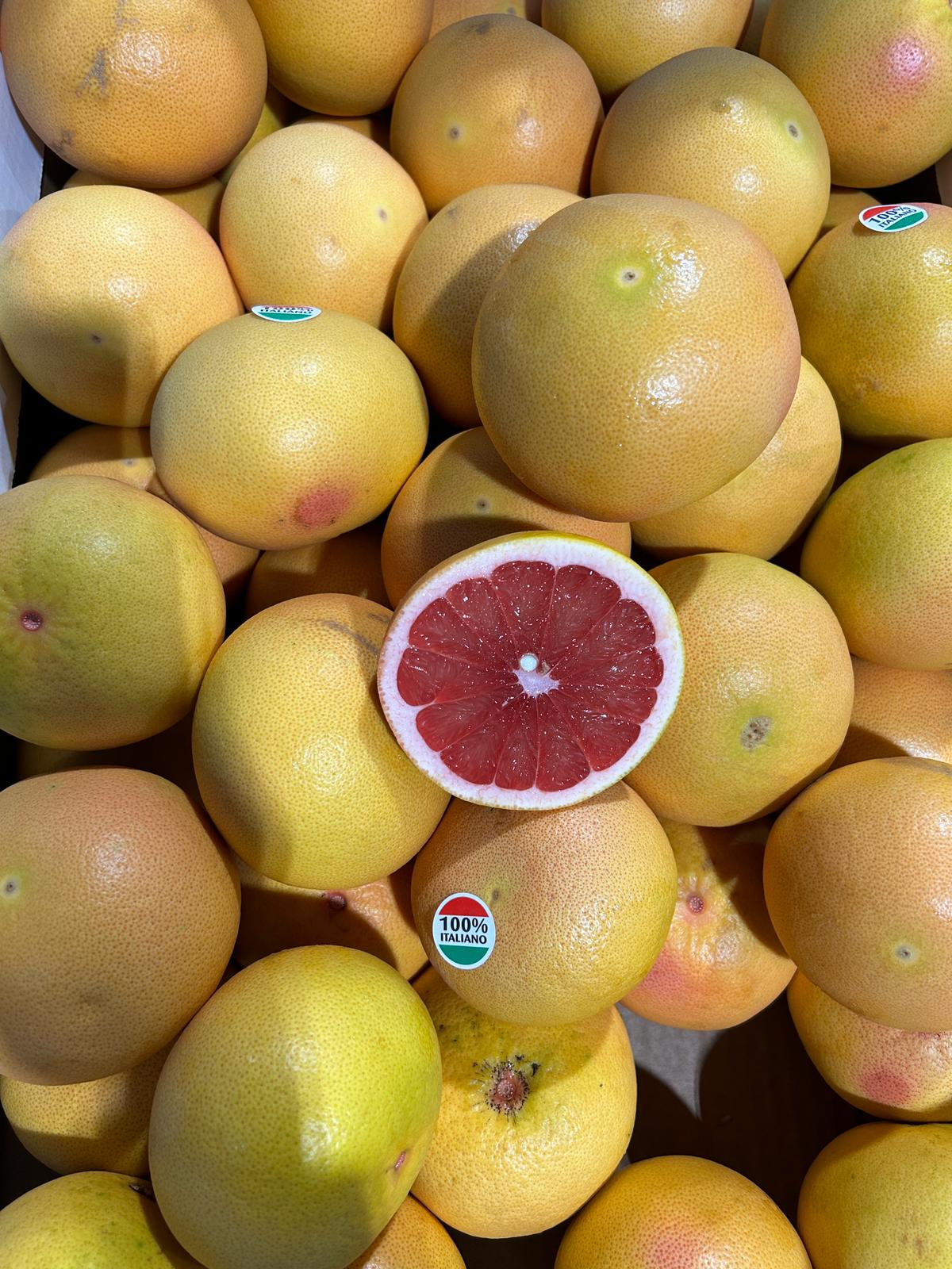 Grapefruit rosé Sandner Früchte Online