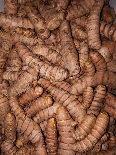 Kurkuma frisch 300 gr. Portion