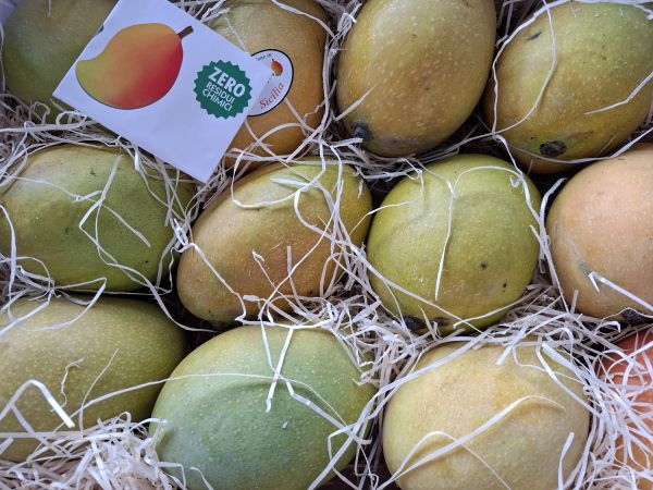 Mango-Sizilien
