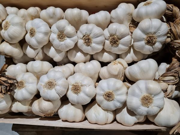 Knoblauch-Zopf 2 kg NEUE ERNTE 2025