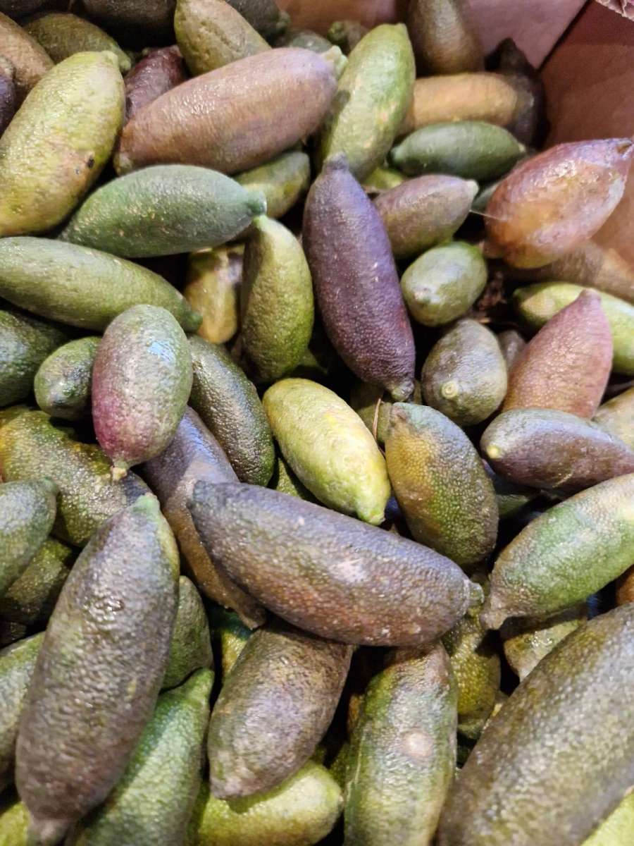 20 Stück Fingerlimetten Samen - Gemischte Fruchtsamen Für Garten