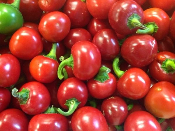 Peperoni rot-rund