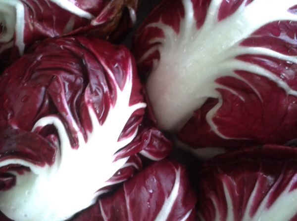 Radicchio Veroneser