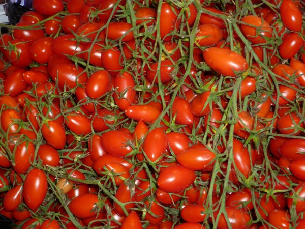 Tomaten - Datteltomaten