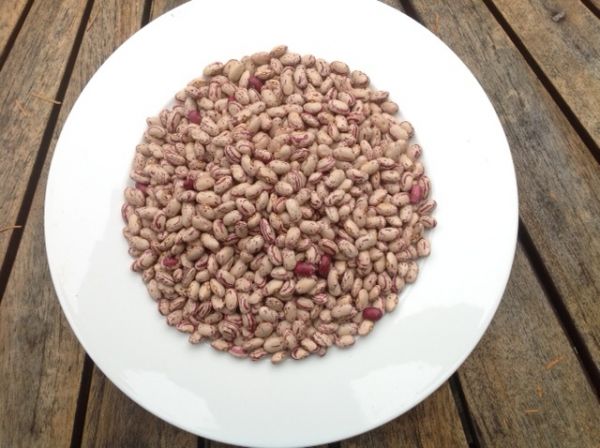 Borlotti-Bohnen 500g (Packung)