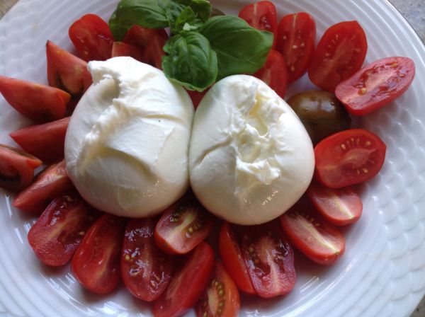 Burrata