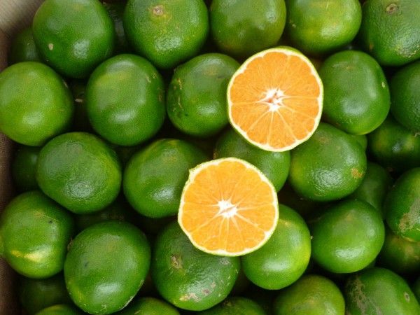Mandarine-Lima