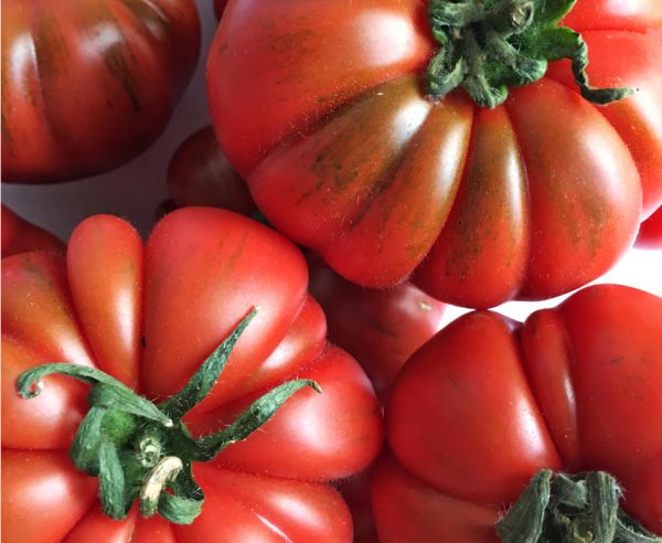 Fleischtomaten