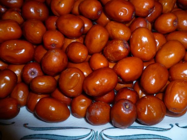 Giuggiole - Brustbeeren