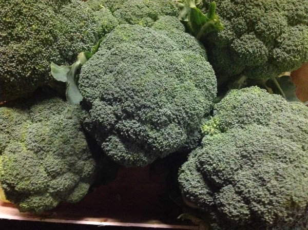 Broccoli56e6fb0f8614b