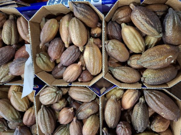 Fingerlime/Kaviarlimette - 100 g-Portion